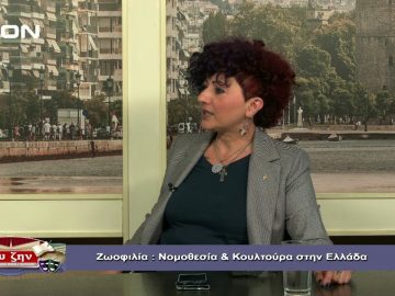 ΜΑΡΙΑ ΘΕΟΔΟΣΙΔΟΥ Α ΜΕΡΟΣ ΕΥΖΗΝ 31-10-2019