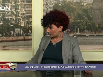 ΜΑΡΙΑ ΘΕΟΔΟΣΙΔΟΥ Γ ΜΕΡΟΣ ΕΥΖΗΝ 31-10-2019