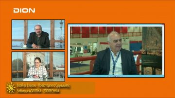 ΞΥΠΝΑΜΕ ΜΑΖΙ ΞΕΚΙΝΑΜΕ ΜΑΖΙ Α ΜΕΡΟΣ ΒΑΣΙΛΗΣ ΣΠΥΡΟΥ 31-01-2020