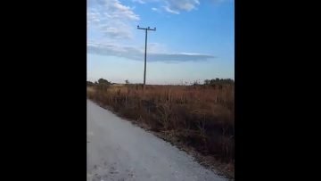 ΚΑΘΗΜΕΡΙΝΑ ΤΟΥΛΟΥΠΑΣ ΝΙΚΟΛΑΟΣ 25-06-2020