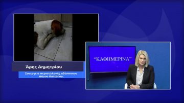 ΚΑΘΗΜΕΡΙΝΑ Β ΜΕΡΟΣ ΑΡΗΣ ΔΗΜΗΤΡΙΟΥ 16-11-2020