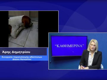 ΚΑΘΗΜΕΡΙΝΑ Β2 ΜΕΡΟΣ ΑΡΗΣ ΔΗΜΗΤΡΙΟΥ 16-11-2020