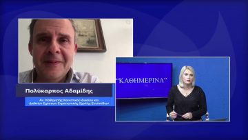 ΚΑΘΗΜΕΡΙΝΑ Β ΜΕΡΟΣ ΠΟΛΥΚΑΡΠΟΣ ΑΔΑΜΙΔΗΣ 10-11-2020