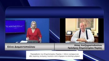 ΚΑΘΗΜΕΡΙΝΑ Β ΜΕΡΟΣ ΗΛΙΑΣ ΧΑΤΖΗΧΡΙΣΤΟΔΟΥΛΟΥ 11-11-2020