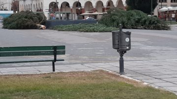 dentra aristeotelous