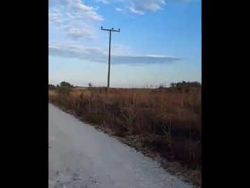 [ID: fpvHC9CGDPI] Youtube Automatic