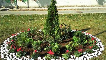 louloudia-fytefseis 1