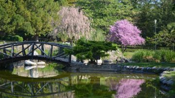 ΔΗΜΟΤΙΚΟ_ΠΑΡΚΟ