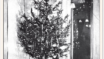 2 First-Electric-Lit-Christmas-Tree