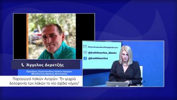 ΚΑΘΗΜΕΡΙΝΑ Α ΜΕΡΟΣ ΑΓΓΕΛΟΣ ΔΕΡΕΤΖΗΣ 02-02-2021