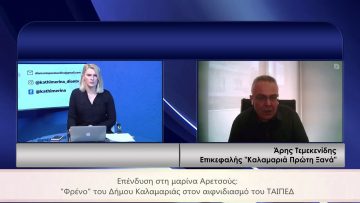 ΚΑΘΗΜΕΡΙΝΑ Α ΜΕΡΟΣ ΑΡΗΣ ΤΕΜΕΚΕΝΙΔΗΣ 25-02-2021