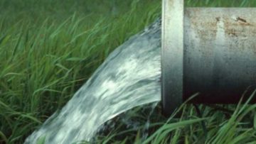 nero-ardeysis-476×248