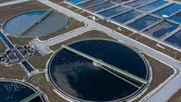 w04-115449w11164359limata