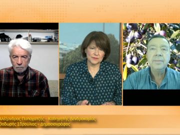 ΞΥΠΝΑΜΕ ΜΑΖΙ ΞΕΚΙΝΑΜΕ ΜΑΖΙ 13 04 2021 ΜΕΡΟΣ Γ