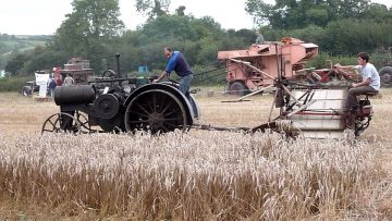 171236289_974318302972216_7491058047607464106_n