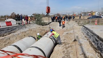 210422-Dendropotamos2