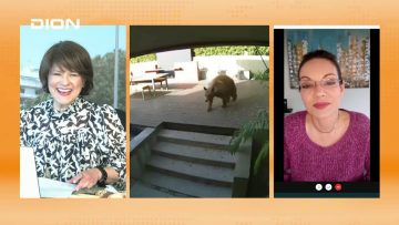 ΞΥΠΝΑΜΕ ΜΑΖΙ ΞΕΚΙΝΑΜΕ ΜΑΖΙ ΣΤ ΜΕΡΟΣ ΜΑΝΙΑ ΒΑΣΙΛΕΙΑΔΟΥ 19-04-2021