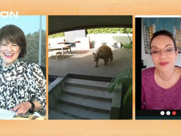 ΞΥΠΝΑΜΕ ΜΑΖΙ ΞΕΚΙΝΑΜΕ ΜΑΖΙ ΣΤ ΜΕΡΟΣ ΜΑΝΙΑ ΒΑΣΙΛΕΙΑΔΟΥ 19-04-2021