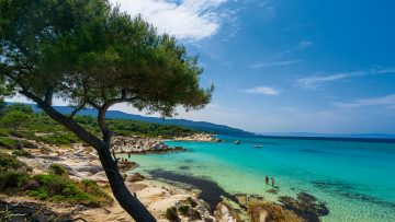 HAL_SITHONIA_KAVOUROTRIPES