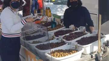 patoulidou laikes – Copy