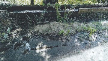 2021-07-02 ΦΩΤΟ 2