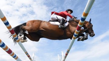 springsteen – kori