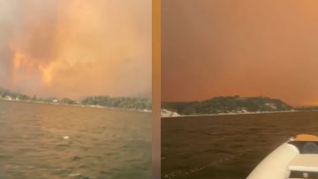 giorgos-aggelopoulos-voitheia-evoia