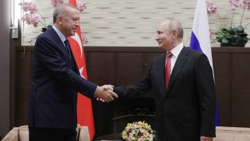 Presidents of Russia and Turkey meet in Sochi