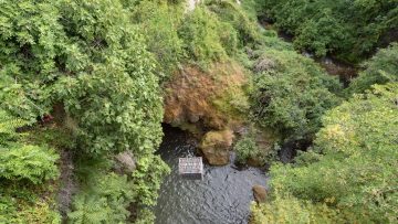 festival_trygou_dt_005