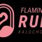 slide_flamingo_logo_black2