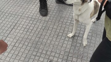 2021-10-04 ΦΩΤΟ 2