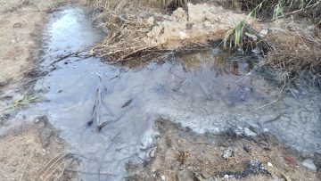 2022-02-22 ΦΩΤΟ ΡΥΠΑΝΣΗ 2