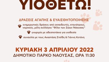 world_stray_day_naoussa