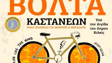 ΑΦΙΣΑ – ΕΚΔΗΛΩΣΗ ΚΑΣΤΑΝΙΩΝ