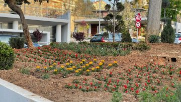 ΦΥΤΕΥΣΕΙΣ ΣΤΟ ΔΗΜΟΤΙΚΟ ΠΑΡΚΟ – ΚΗΠΟ 2022-7