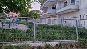 IMG-8ec18ebb00ae858d918be8632626415f-V