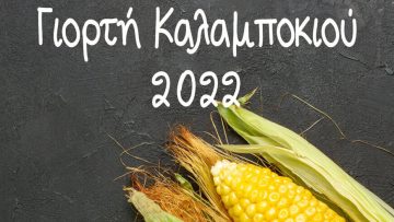 294546956_470665225060161_1517534897732217651_n (1)