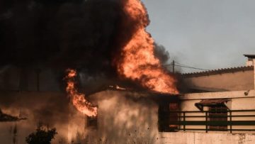 EEV2_200722_TB_PYRKAGIA-5-600×400