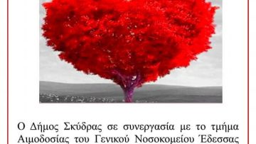 afisa-ethelontikhs-aimodosias-dhmu-skydras