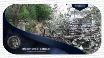 alexandreia-imathias