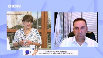 Ανήσυχοι γαι τον τζίρο οι επιχειρηματίες της Χαλκιδικής | Ξεκινάμε Μαζί | 27/07/22