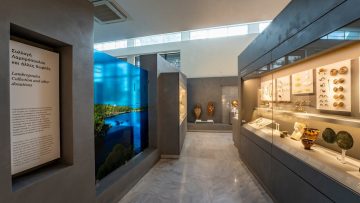 moussio-poligirou-ape (1)