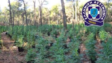 δενδρυλλια