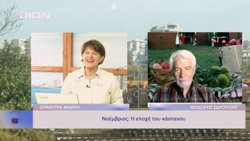 Πώς τα πήγε το Θεσσαλικό άλογο στην Ιταλία; | Ξεκινάμε Μαζί | 08/11/22