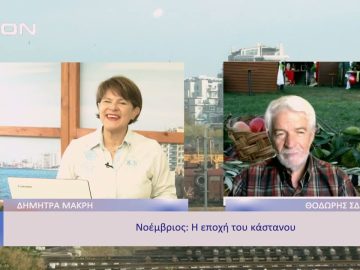 Πώς τα πήγε το Θεσσαλικό άλογο στην Ιταλία; | Ξεκινάμε Μαζί | 08/11/22