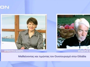 Μαθαίνοντας και τιμώντας τον Οινοτουρισμό στην Ελλάδα | Ξεκινάμε Μαζί | 15/11/22