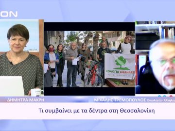Τι συμβαίνει με τα δέντρα στη Θεσσαλονίκη | Ξεκινάμε Μαζί | 24/11/2022