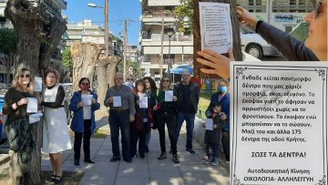 OA-Kritis-kolaz-20221119-sm