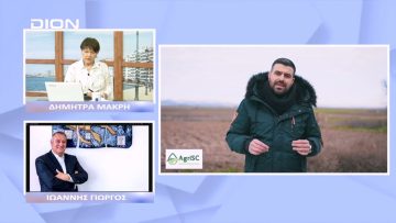 Ο κλάδος της επιτραπέζιας ελιάς ένας ιδιαίτερα δυναμικός κλάδος | Ξεκινάμε Μαζί | 07/12/2022