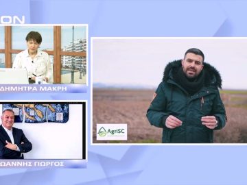 Ο κλάδος της επιτραπέζιας ελιάς ένας ιδιαίτερα δυναμικός κλάδος | Ξεκινάμε Μαζί | 07/12/2022